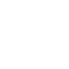 icon1